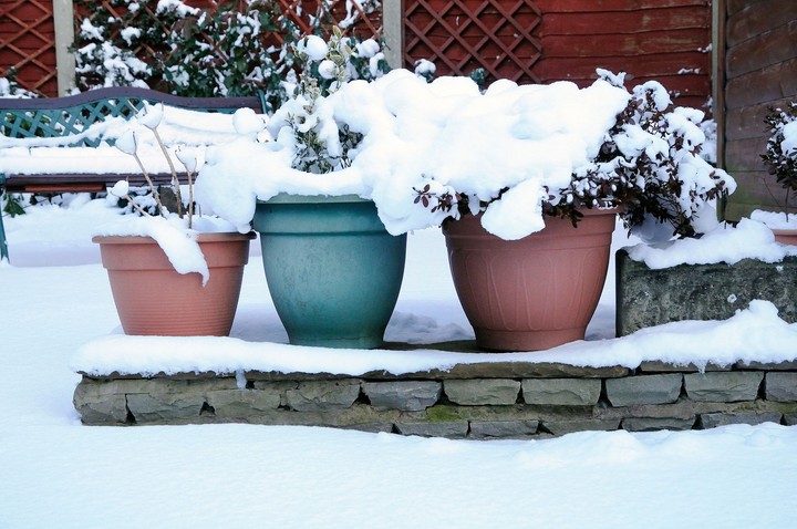 Nova zahrada vyhody snehu a mrazu v zahrade 
